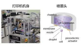 理光集團(tuán)攜高科技產(chǎn)品進(jìn)軍醫(yī)藥市場，以創(chuàng)新技術(shù)驅(qū)動(dòng)醫(yī)療行業(yè)變革